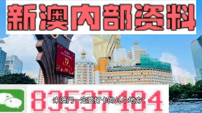 2024年澳门免费公开资料,澳门免费公开资料的未来展望，2024年及以后