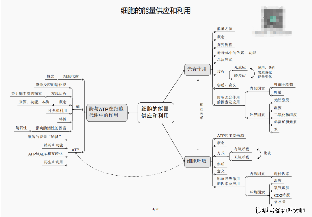 今晚必出三肖,今晚必出三肖，预测与策略