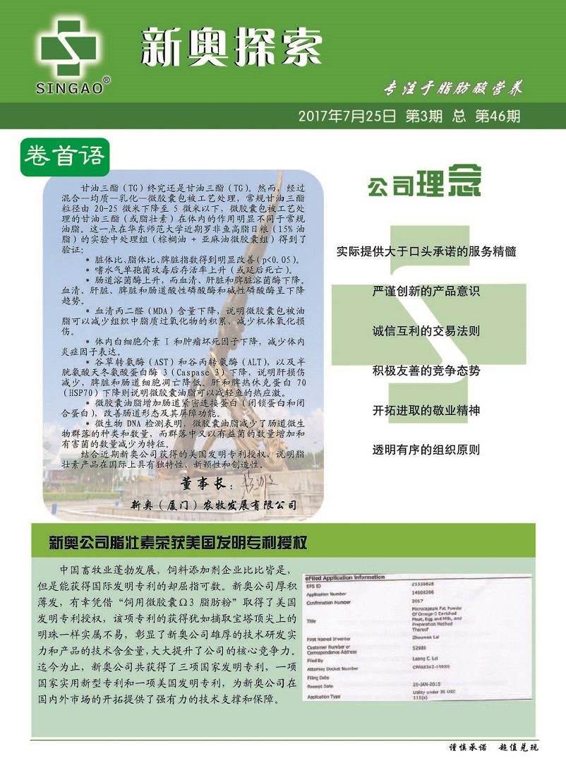 2004新奥精准资料免费提供,2004新奥精准资料免费提供，回顾与启示