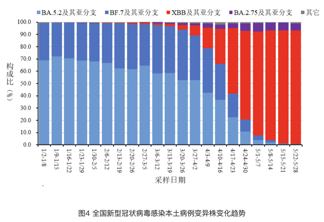 新澳门彩出码综合走势图表大全,新澳门彩出码综合走势图表大全，揭示背后的风险与挑战