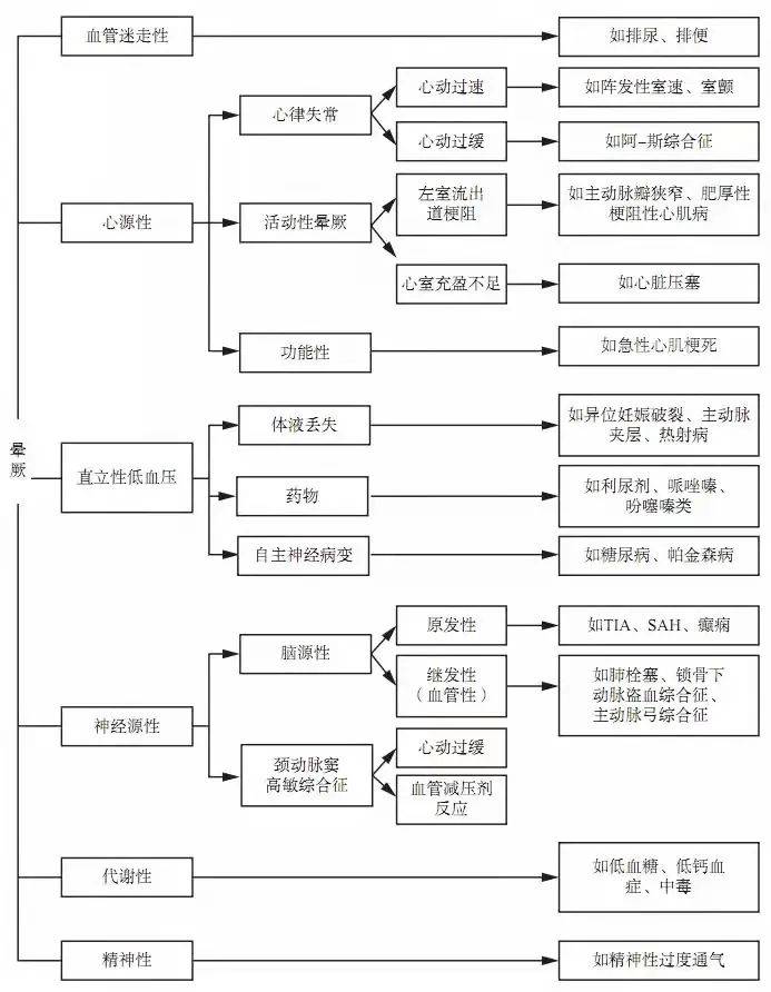 777778888王中王最新,探索数字背后的秘密，王中王与最新777778888现象揭秘