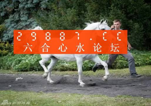 7777788888精准跑狗图,揭秘精准跑狗图，探索神秘的77777与88888跑狗图世界