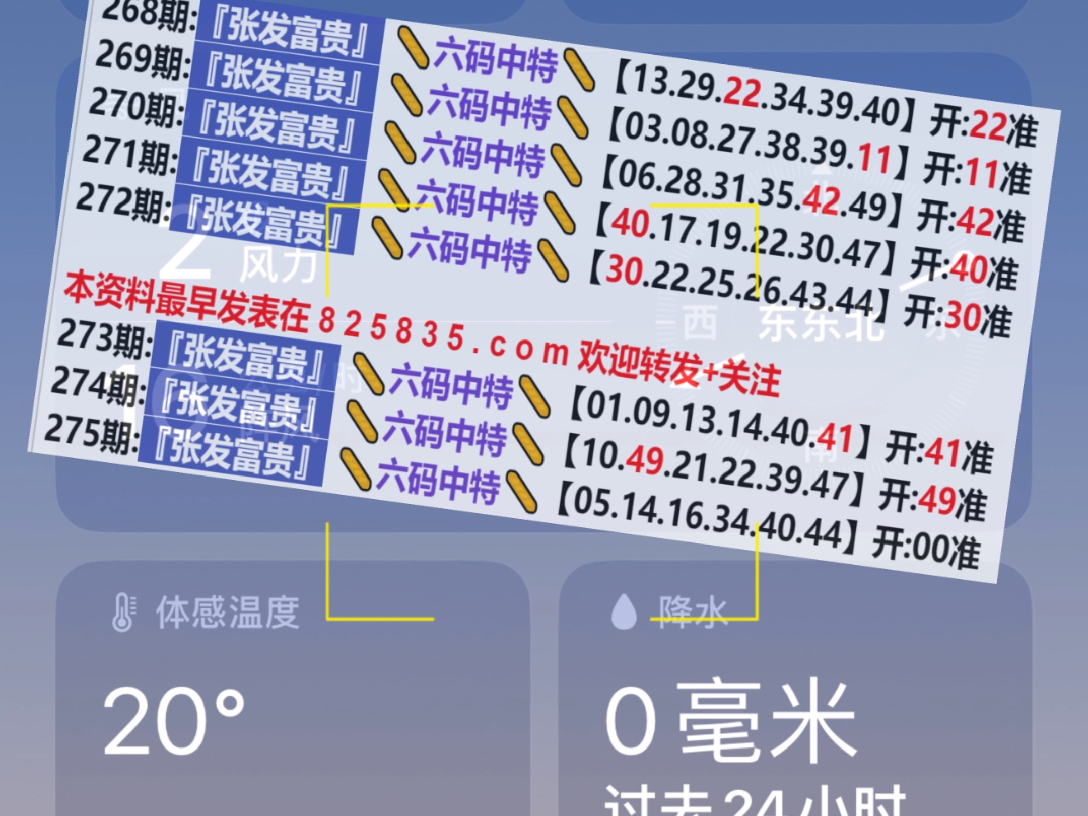 2024新奥门天天开好彩大全85期,新奥门天天开好彩大全 85期，探索与期待