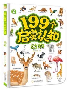 7777788888管家婆狗045期 02-13-15-19-28-41P：11,探索数字世界的奥秘，管家婆狗与神秘数字组合