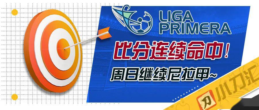 2025新奥资料免费精准096期 14-47-09-02-42-21T：31,探索新奥资料，免费精准获取第096期数据的深度解析（T，31）