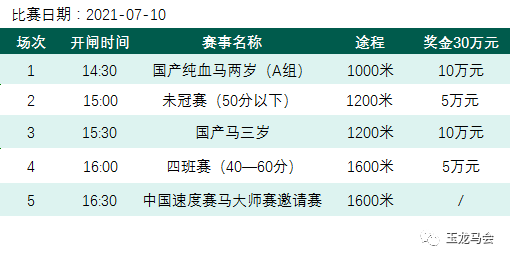 2025年新奥正版资料028期 48-21-15-30-13-07T：35,探索新奥正版资料，揭秘2025年028期数字之谜