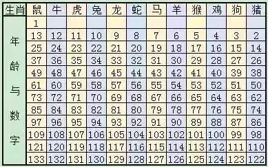 2025十二生肖49个码004期 04-49-26-19-30-44T：10,探索十二生肖的魅力，解读2025年第4期彩票的奥秘